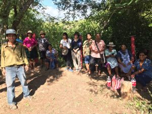 Copy of WhatsApp Image 2023-04-15 at 15.54.47