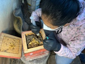 Copy of WhatsApp Image 2023-09-03 at 12.07.10