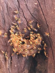 WhatsApp Image 2022-09-01 at 11.33.06 AM